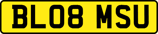 BL08MSU