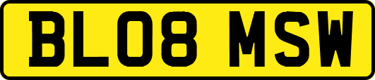 BL08MSW