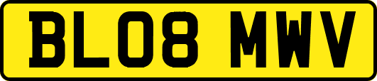 BL08MWV