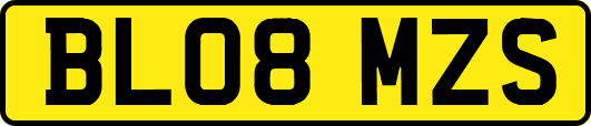 BL08MZS
