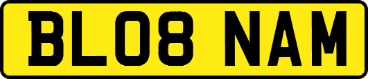BL08NAM
