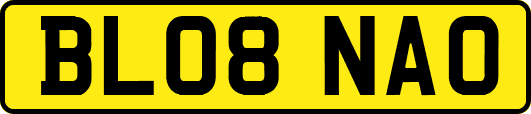 BL08NAO