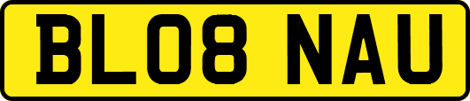 BL08NAU