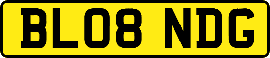 BL08NDG