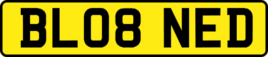 BL08NED