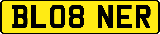 BL08NER