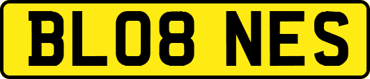 BL08NES