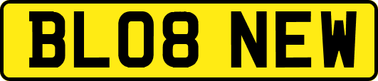 BL08NEW