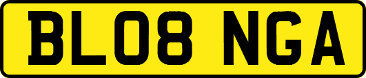 BL08NGA