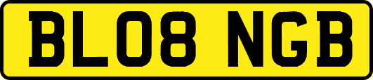 BL08NGB