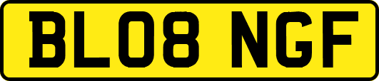 BL08NGF