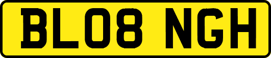 BL08NGH