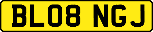 BL08NGJ