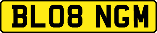 BL08NGM