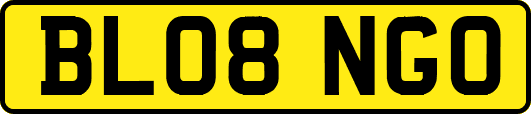 BL08NGO