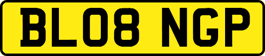 BL08NGP