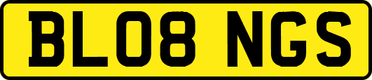 BL08NGS
