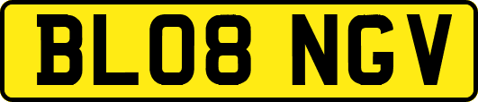 BL08NGV