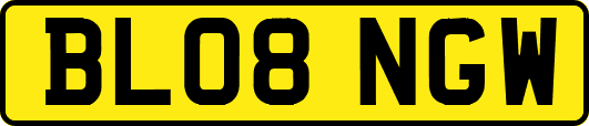 BL08NGW