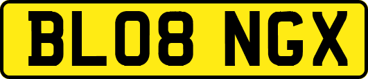 BL08NGX