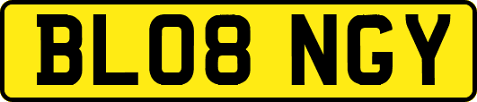 BL08NGY