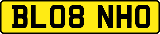 BL08NHO