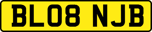 BL08NJB