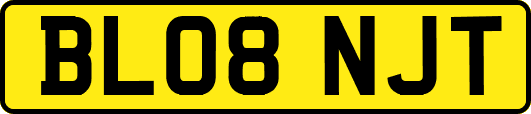 BL08NJT