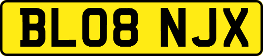 BL08NJX