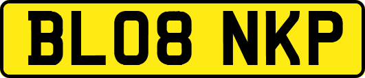 BL08NKP
