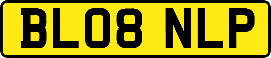 BL08NLP