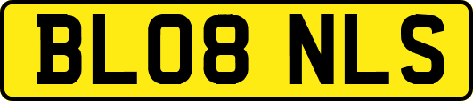BL08NLS