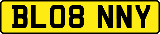 BL08NNY