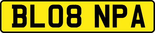 BL08NPA