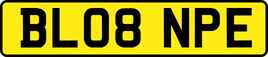 BL08NPE