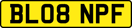 BL08NPF