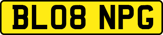 BL08NPG