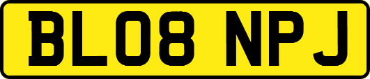 BL08NPJ