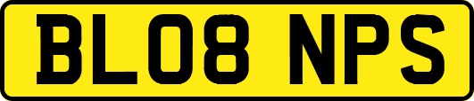 BL08NPS