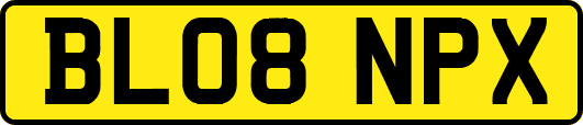 BL08NPX