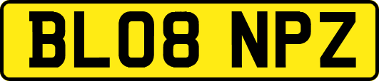 BL08NPZ