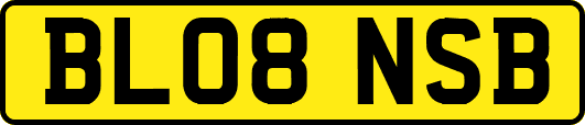BL08NSB