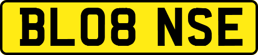 BL08NSE