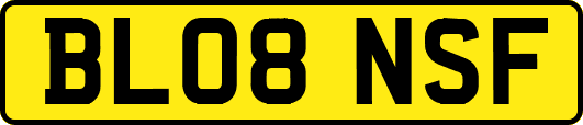 BL08NSF