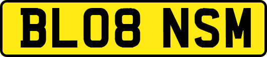 BL08NSM