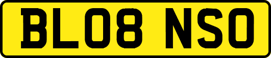 BL08NSO