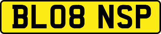 BL08NSP
