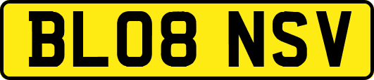 BL08NSV