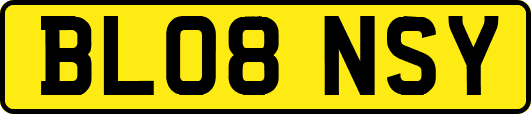 BL08NSY