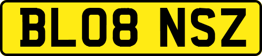 BL08NSZ